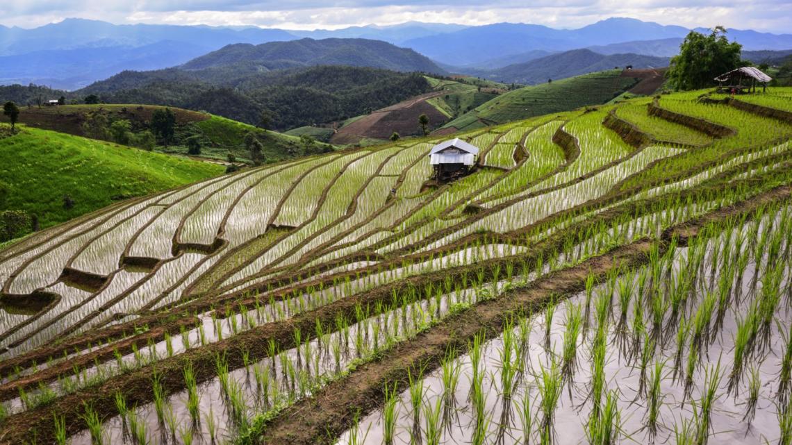 Empowering Businesses: Climate-Resilient Decision-Making