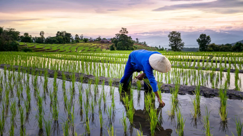 USD $205B/yr needed from agrifood sector to meet climate & nature targets.