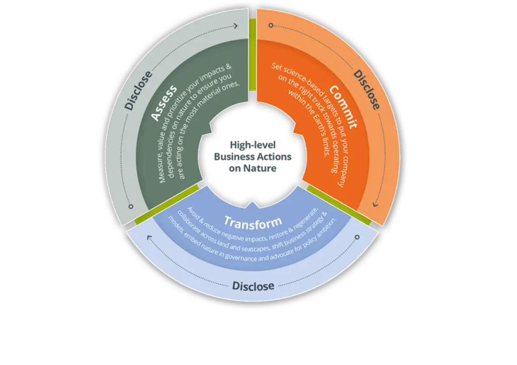 Act D Framework